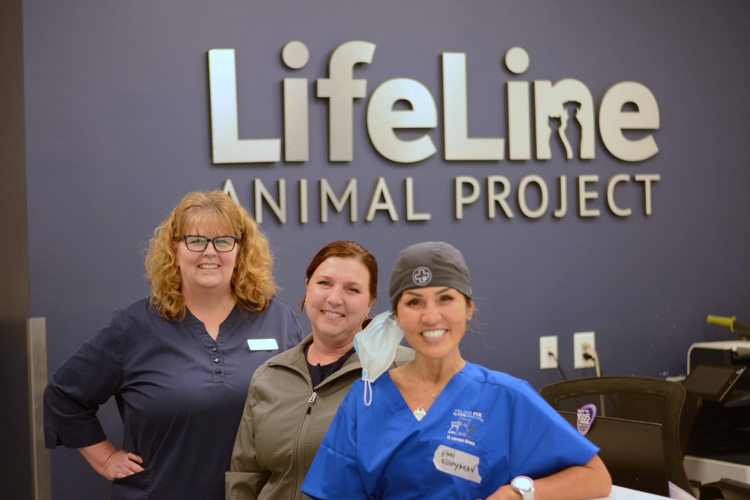 How to Train Your Long-haired Cat to Tolerate Regular Brushing Sessions - Feline Grooming Certification Course