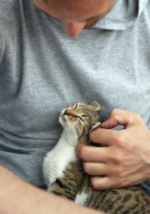 man loving cat